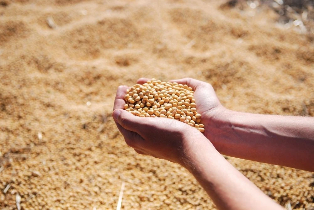 Diversified Agro Product Portfolio