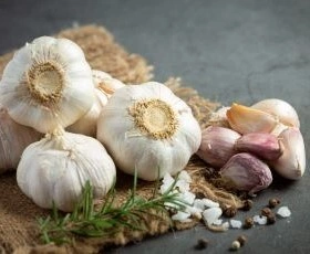 Fresh-Garlic