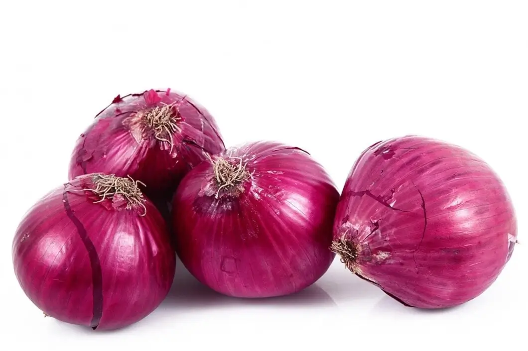 Indian Onion Exporter | Guide to Import & Sourcing