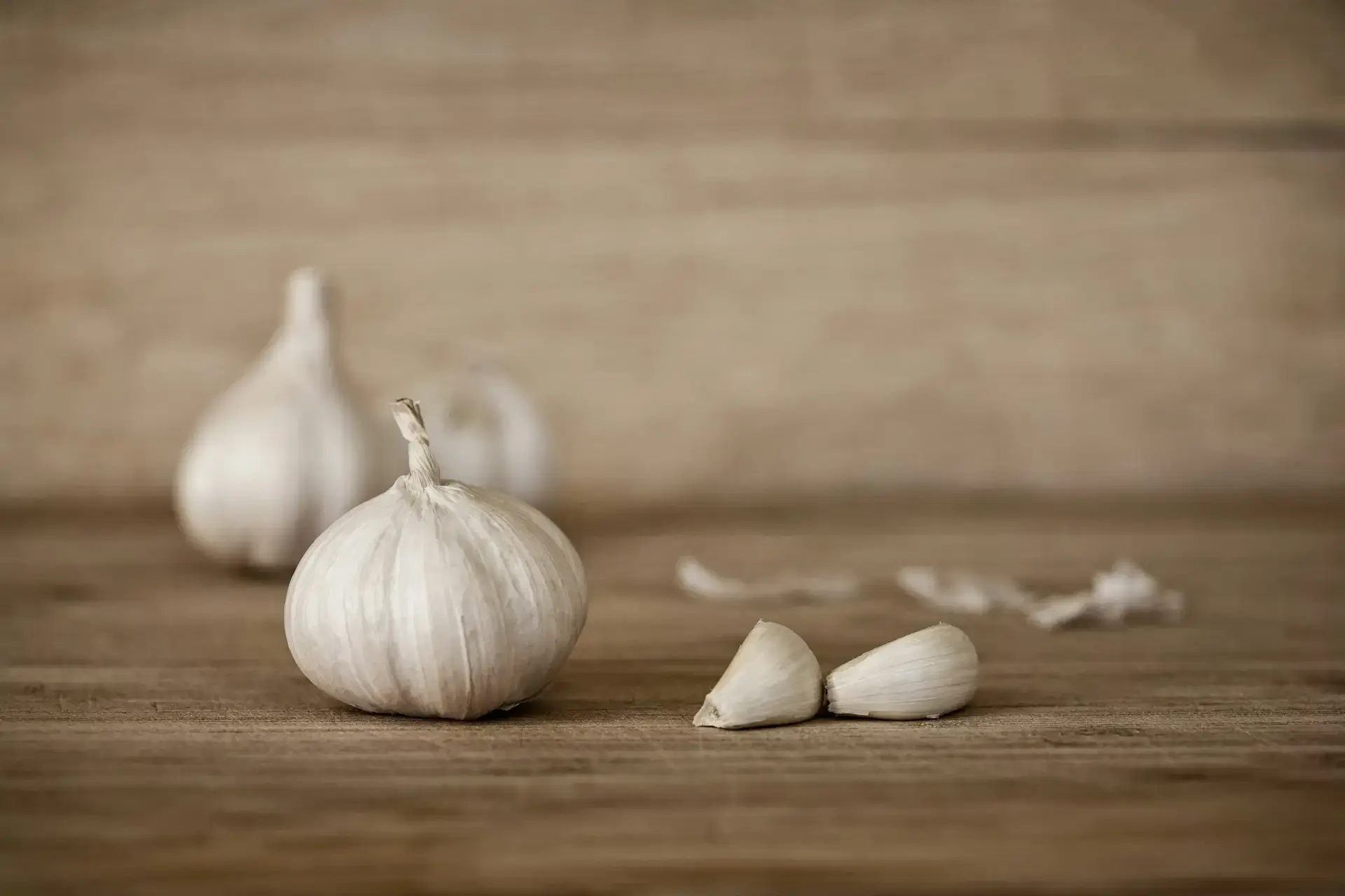 High Pungency Garlic Supplier in India