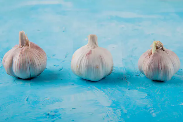close-up-view-garlic-bulbs-blue-background-with-copy-space