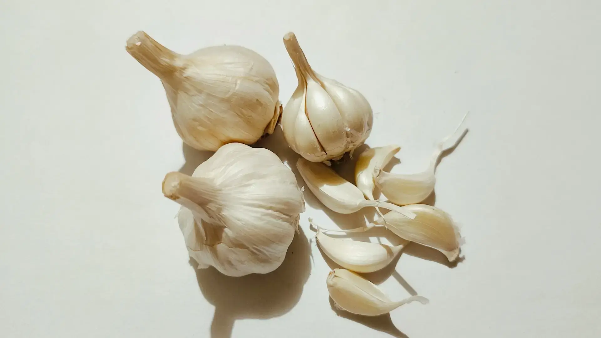 rajasthan-fresh-garlic