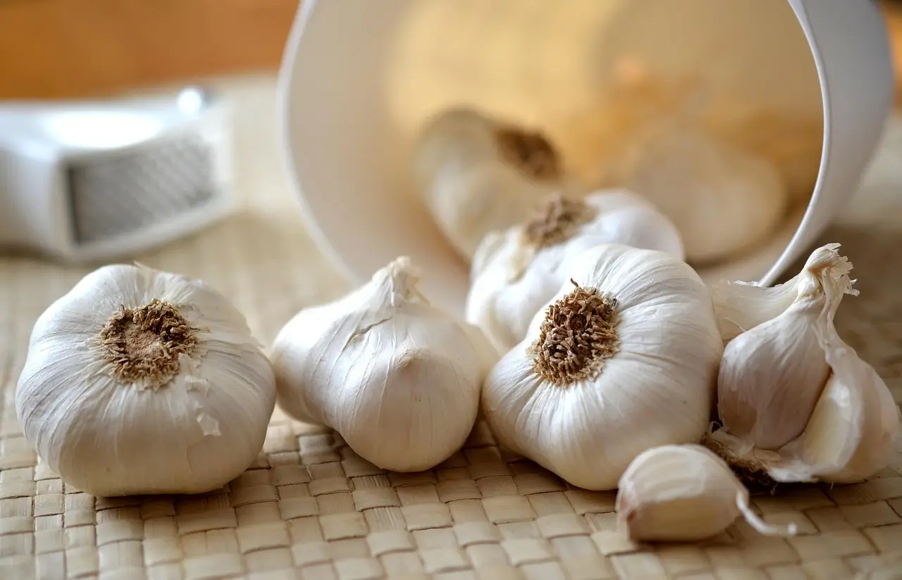 high pungency garlic